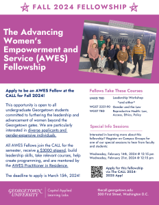 Fall 2024 AWES Fellowship Flyer